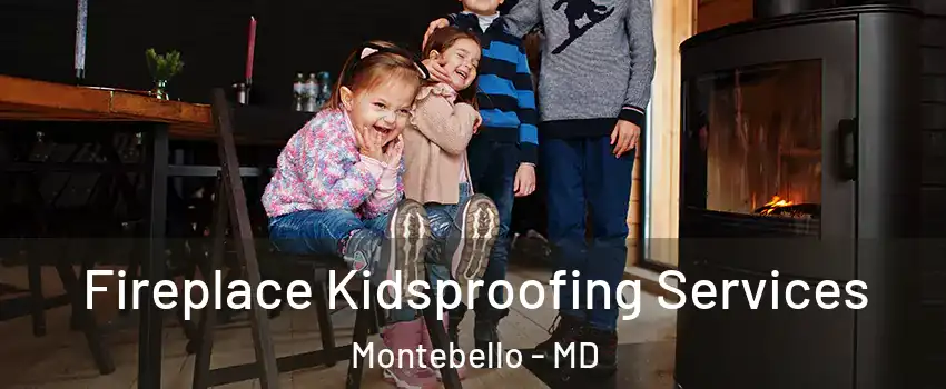 Fireplace Kidsproofing Services Montebello - MD