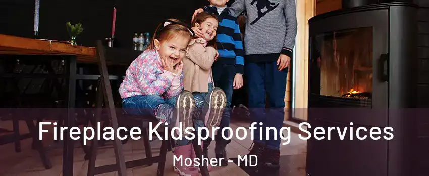 Fireplace Kidsproofing Services Mosher - MD
