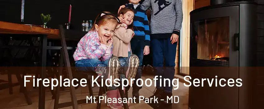 Fireplace Kidsproofing Services Mt Pleasant Park - MD