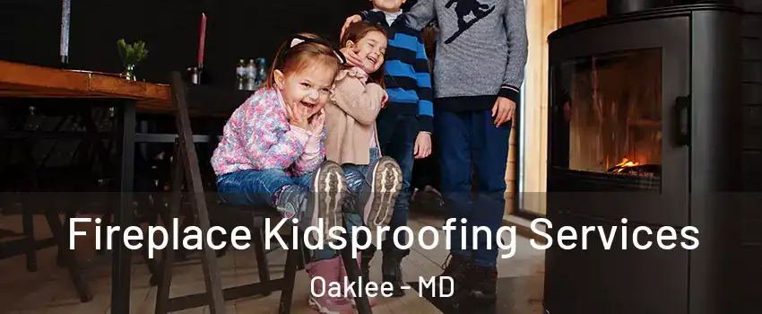 Fireplace Kidsproofing Services Oaklee - MD