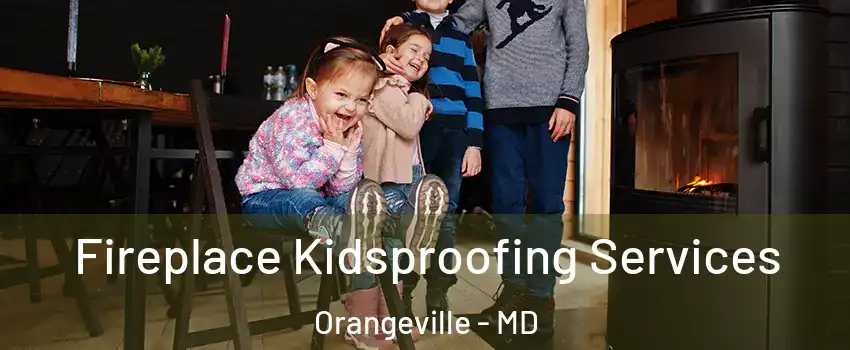 Fireplace Kidsproofing Services Orangeville - MD