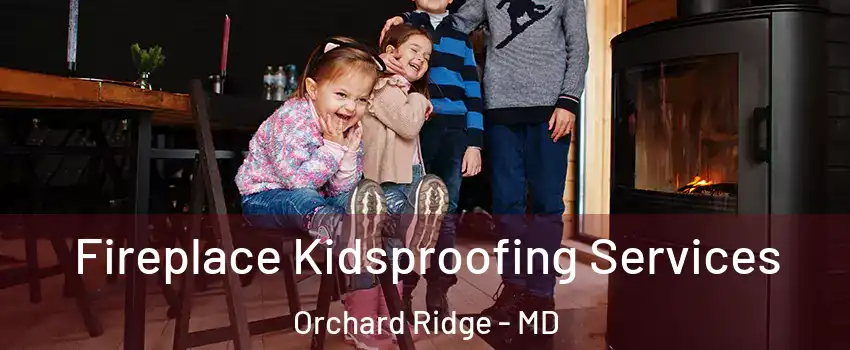 Fireplace Kidsproofing Services Orchard Ridge - MD