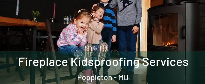 Fireplace Kidsproofing Services Poppleton - MD