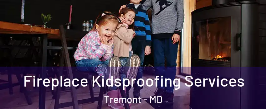 Fireplace Kidsproofing Services Tremont - MD