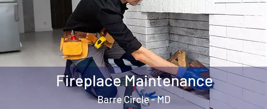 Fireplace Maintenance Barre Circle - MD