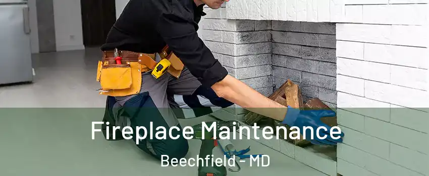 Fireplace Maintenance Beechfield - MD