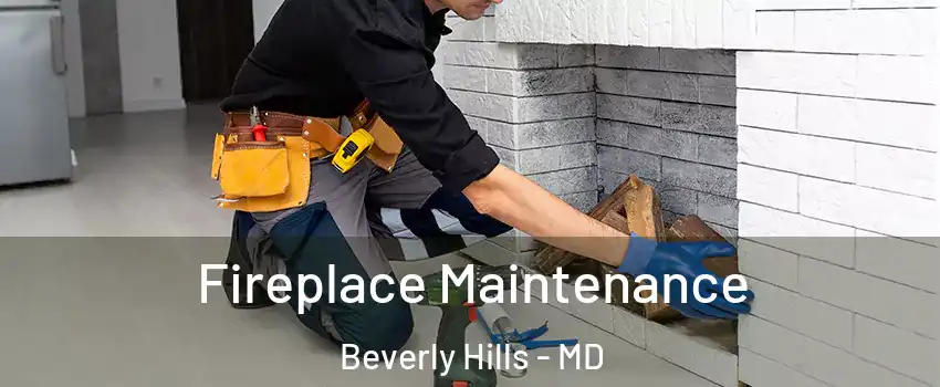 Fireplace Maintenance Beverly Hills - MD