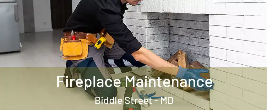 Fireplace Maintenance Biddle Street - MD