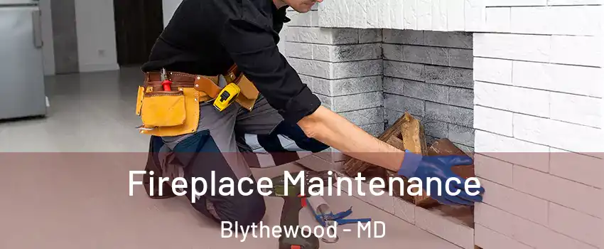 Fireplace Maintenance Blythewood - MD