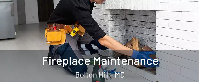 Fireplace Maintenance Bolton Hill - MD