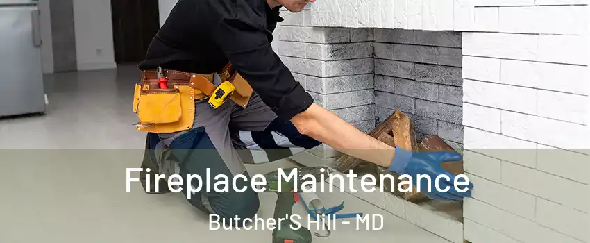 Fireplace Maintenance Butcher'S Hill - MD