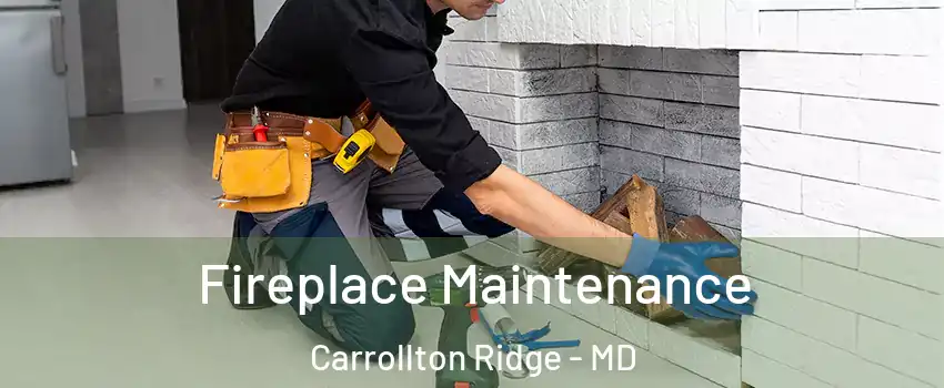 Fireplace Maintenance Carrollton Ridge - MD