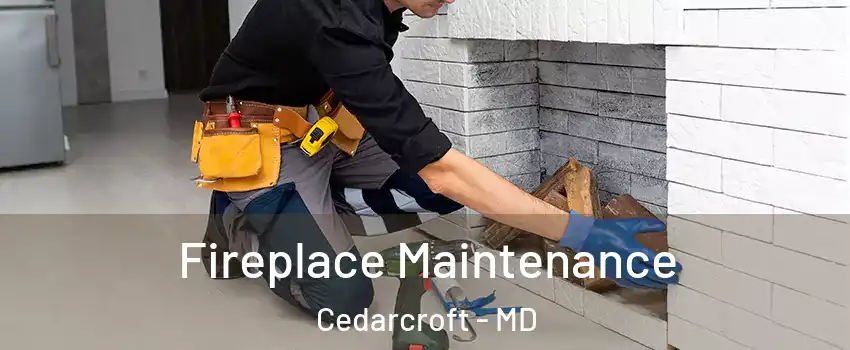 Fireplace Maintenance Cedarcroft - MD