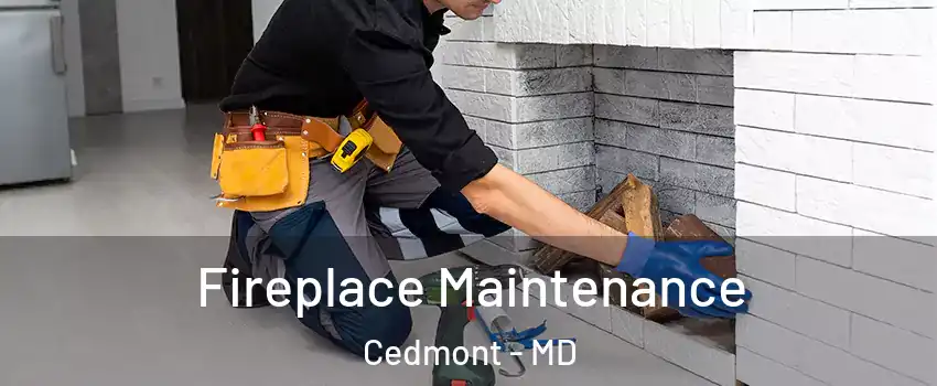 Fireplace Maintenance Cedmont - MD