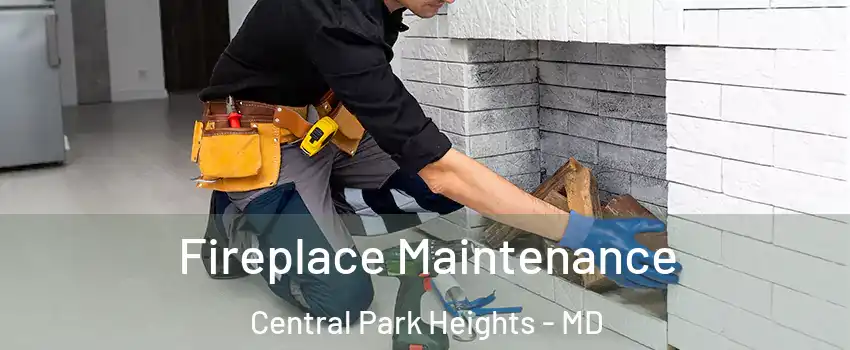 Fireplace Maintenance Central Park Heights - MD