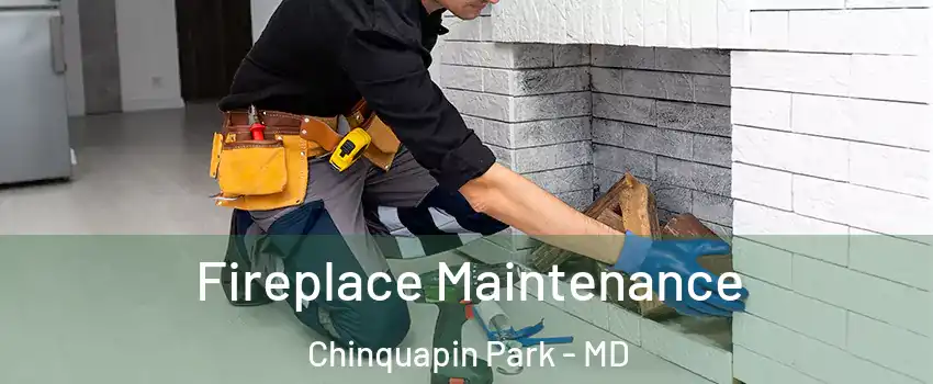 Fireplace Maintenance Chinquapin Park - MD