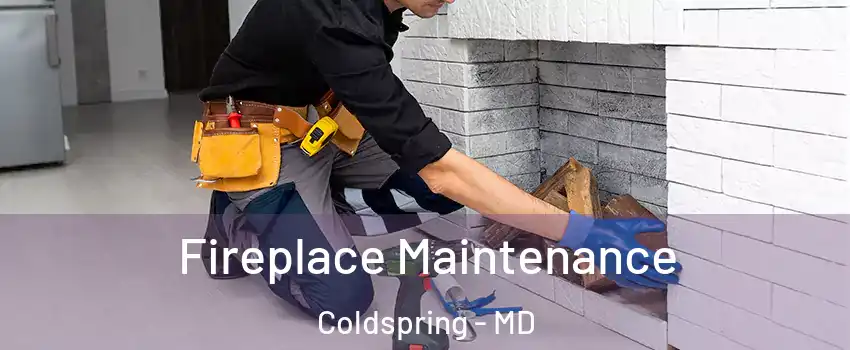Fireplace Maintenance Coldspring - MD