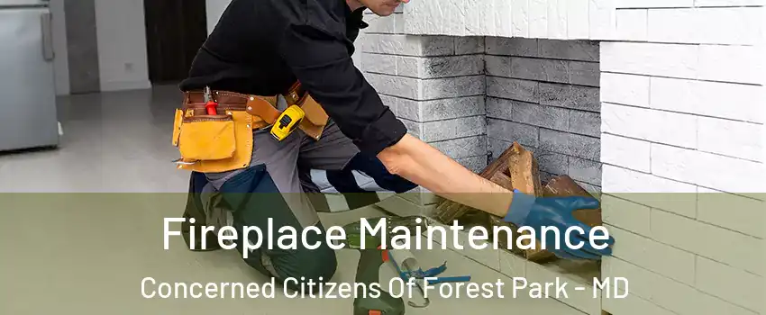 Fireplace Maintenance Concerned Citizens Of Forest Park - MD
