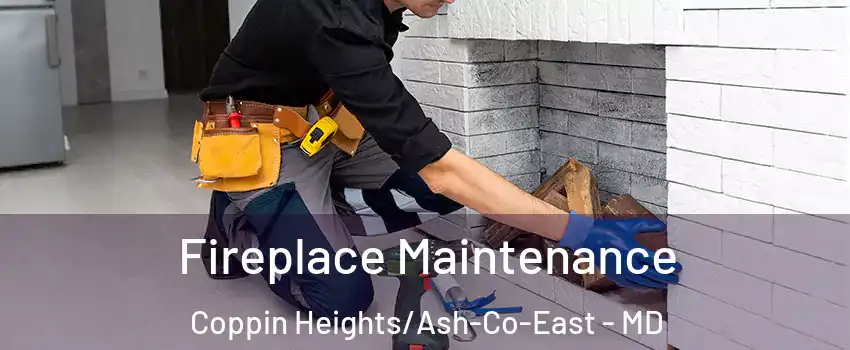 Fireplace Maintenance Coppin Heights/Ash-Co-East - MD