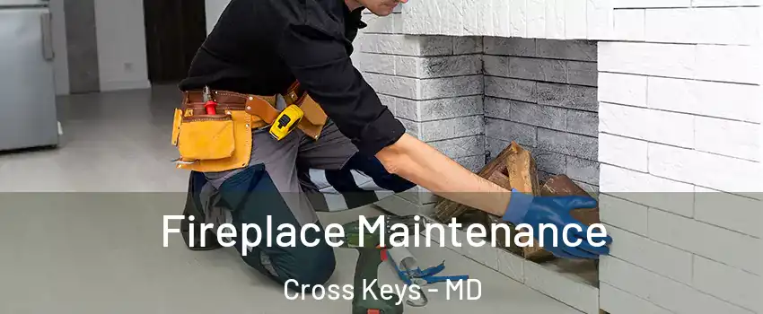 Fireplace Maintenance Cross Keys - MD