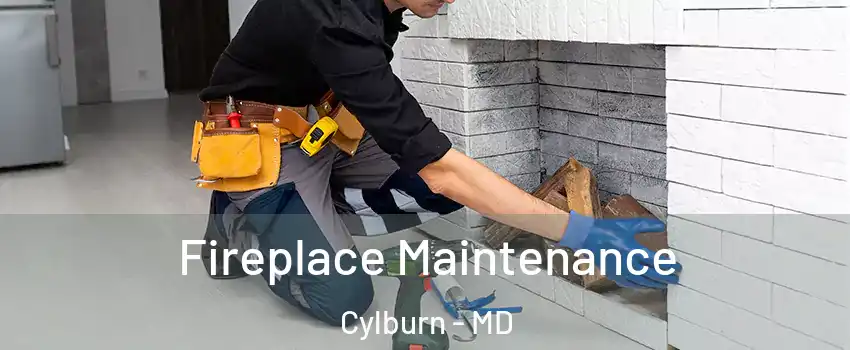 Fireplace Maintenance Cylburn - MD