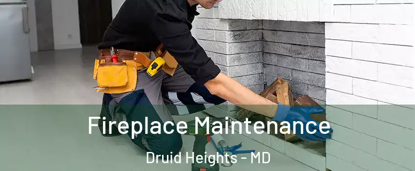 Fireplace Maintenance Druid Heights - MD