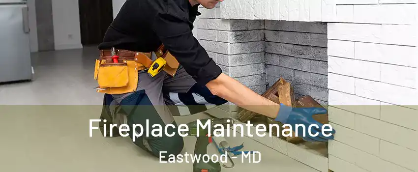 Fireplace Maintenance Eastwood - MD