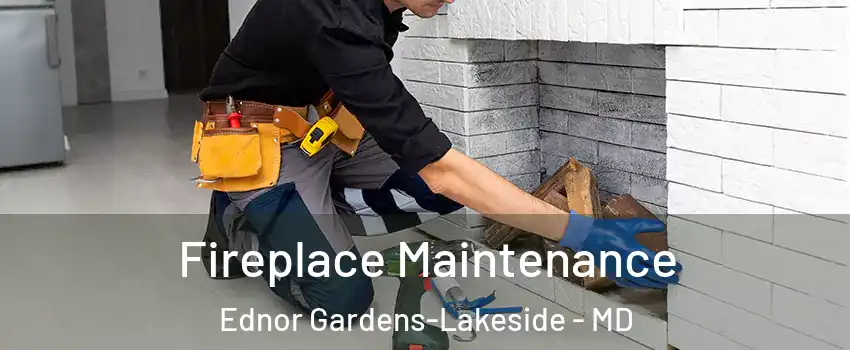 Fireplace Maintenance Ednor Gardens-Lakeside - MD