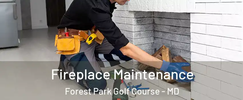 Fireplace Maintenance Forest Park Golf Course - MD