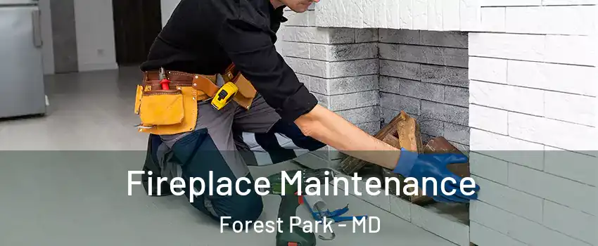 Fireplace Maintenance Forest Park - MD