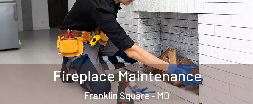 Fireplace Maintenance Franklin Square - MD