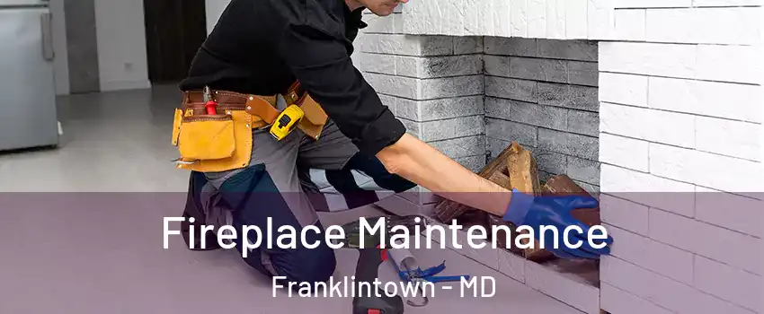 Fireplace Maintenance Franklintown - MD