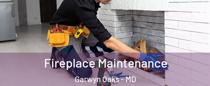 Fireplace Maintenance Garwyn Oaks - MD