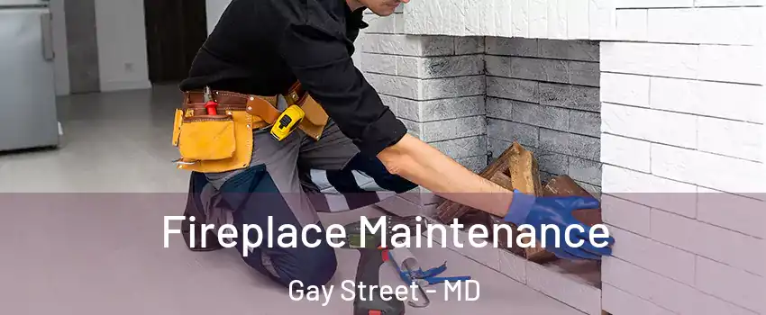 Fireplace Maintenance Gay Street - MD