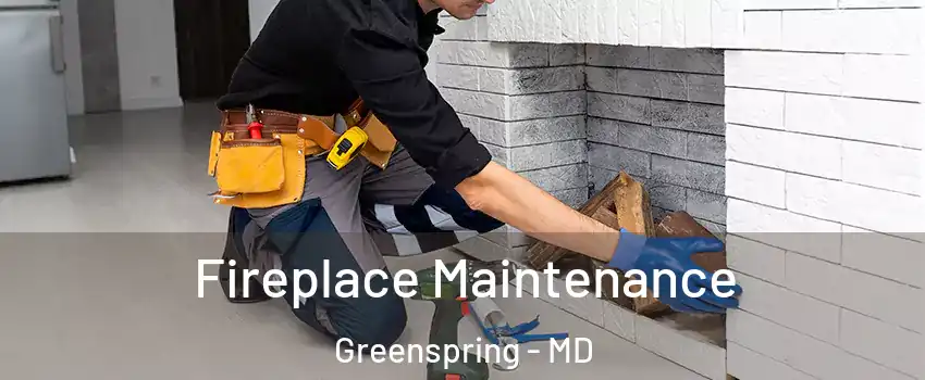 Fireplace Maintenance Greenspring - MD