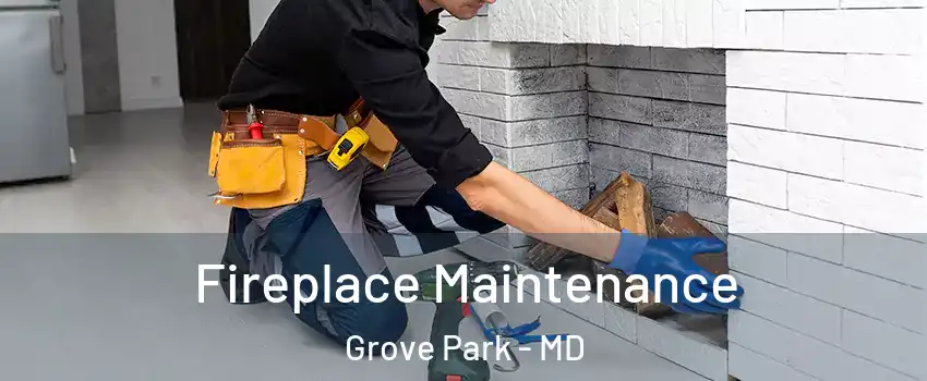 Fireplace Maintenance Grove Park - MD
