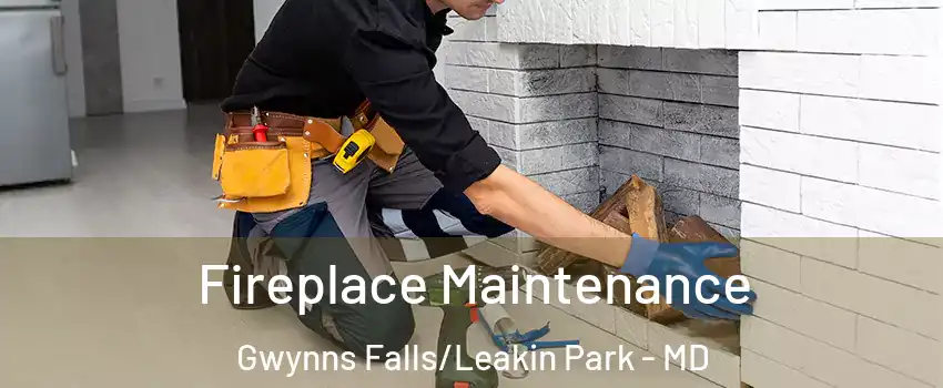 Fireplace Maintenance Gwynns Falls/Leakin Park - MD