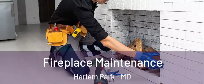 Fireplace Maintenance Harlem Park - MD