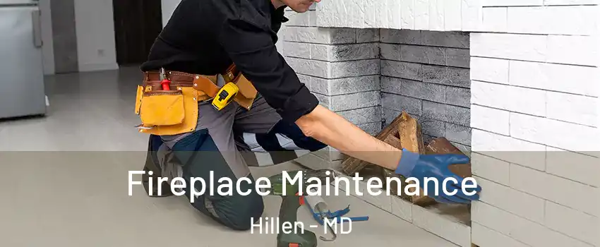 Fireplace Maintenance Hillen - MD