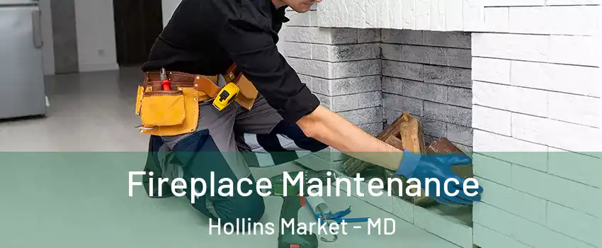 Fireplace Maintenance Hollins Market - MD