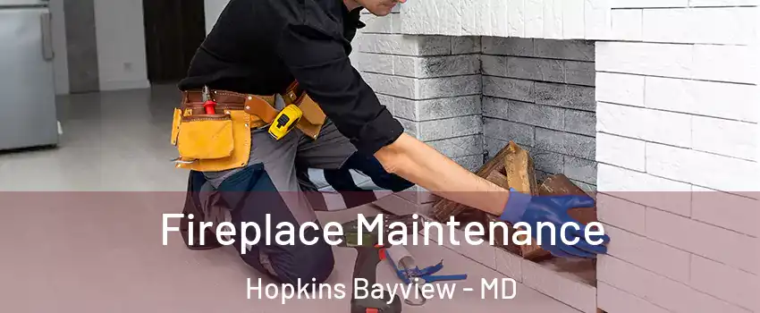 Fireplace Maintenance Hopkins Bayview - MD
