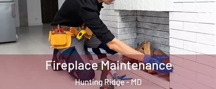 Fireplace Maintenance Hunting Ridge - MD