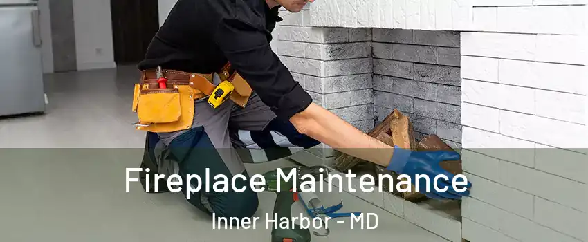 Fireplace Maintenance Inner Harbor - MD