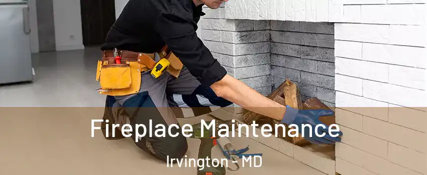 Fireplace Maintenance Irvington - MD