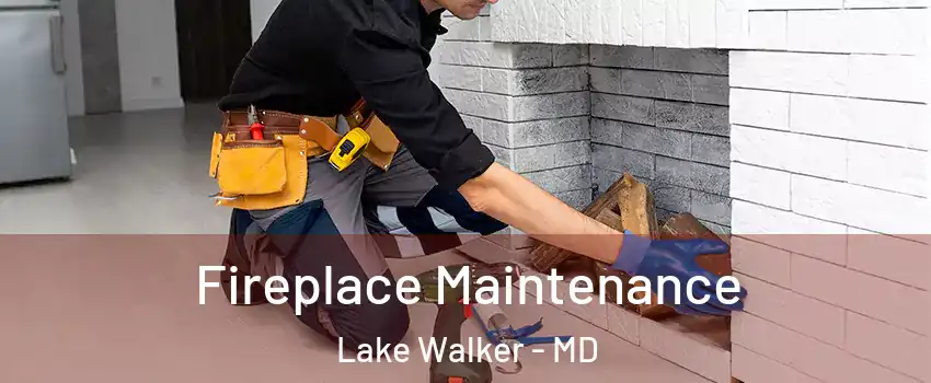 Fireplace Maintenance Lake Walker - MD