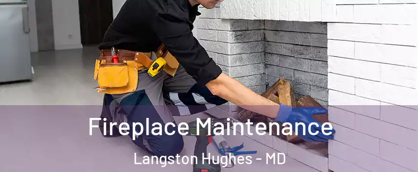 Fireplace Maintenance Langston Hughes - MD
