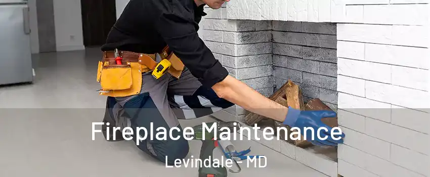 Fireplace Maintenance Levindale - MD