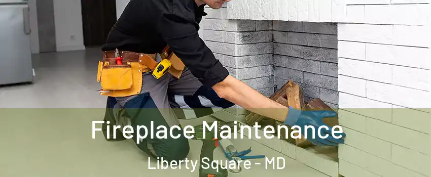 Fireplace Maintenance Liberty Square - MD