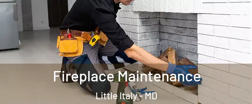 Fireplace Maintenance Little Italy - MD