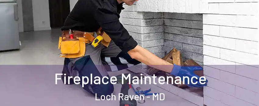 Fireplace Maintenance Loch Raven - MD